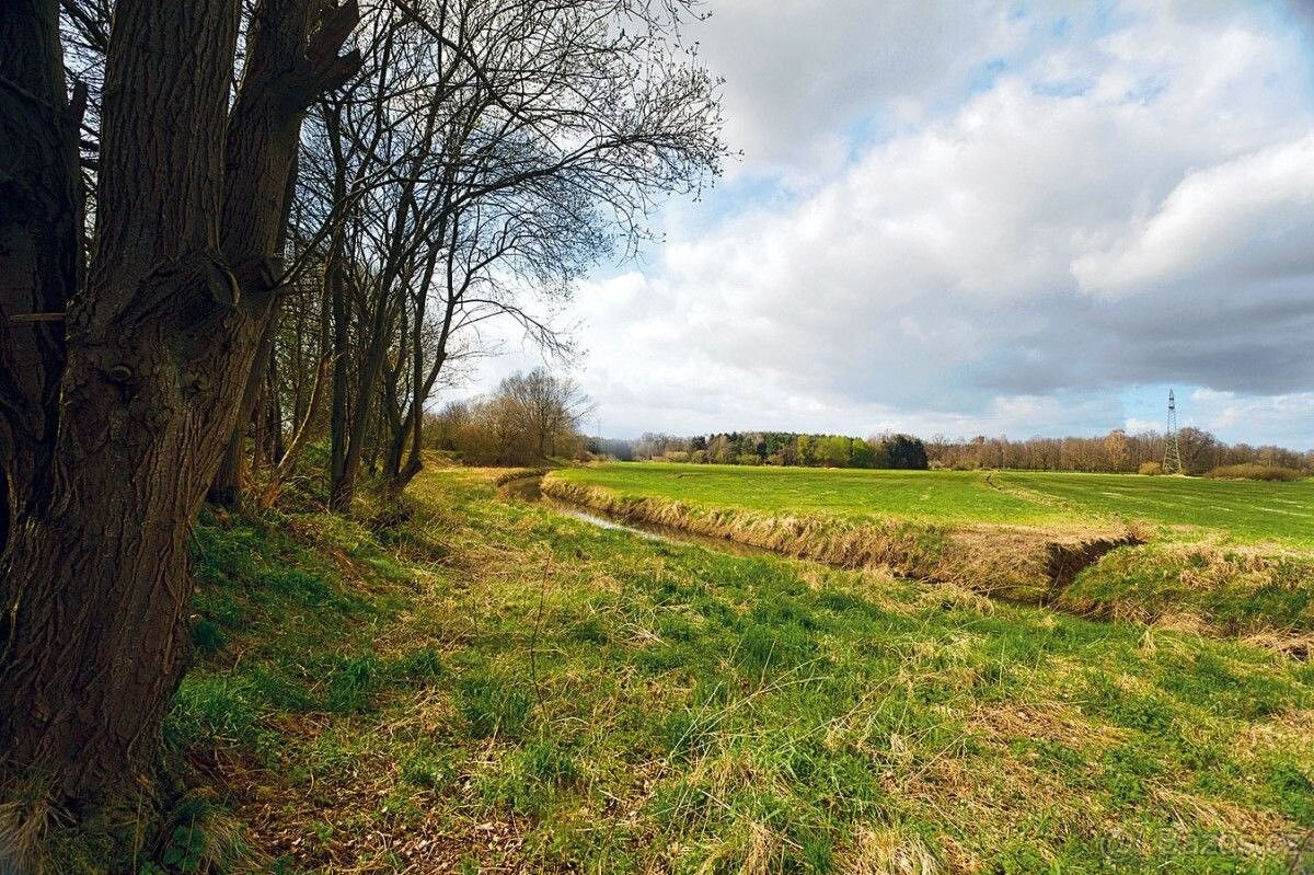 Pronájem pozemek - Jinočany, 252 25, 10 000 m²