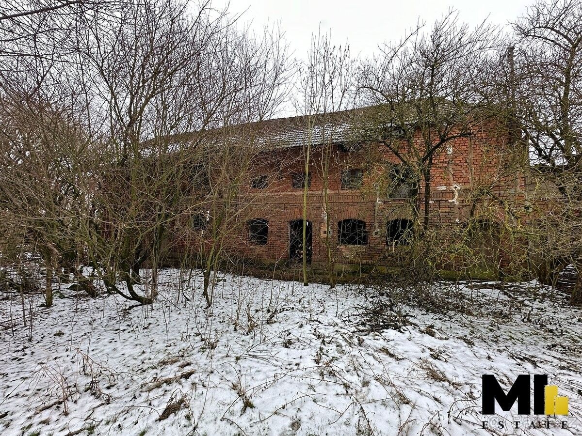 Prodej pozemek pro bydlení - Kozojedy, 507 03