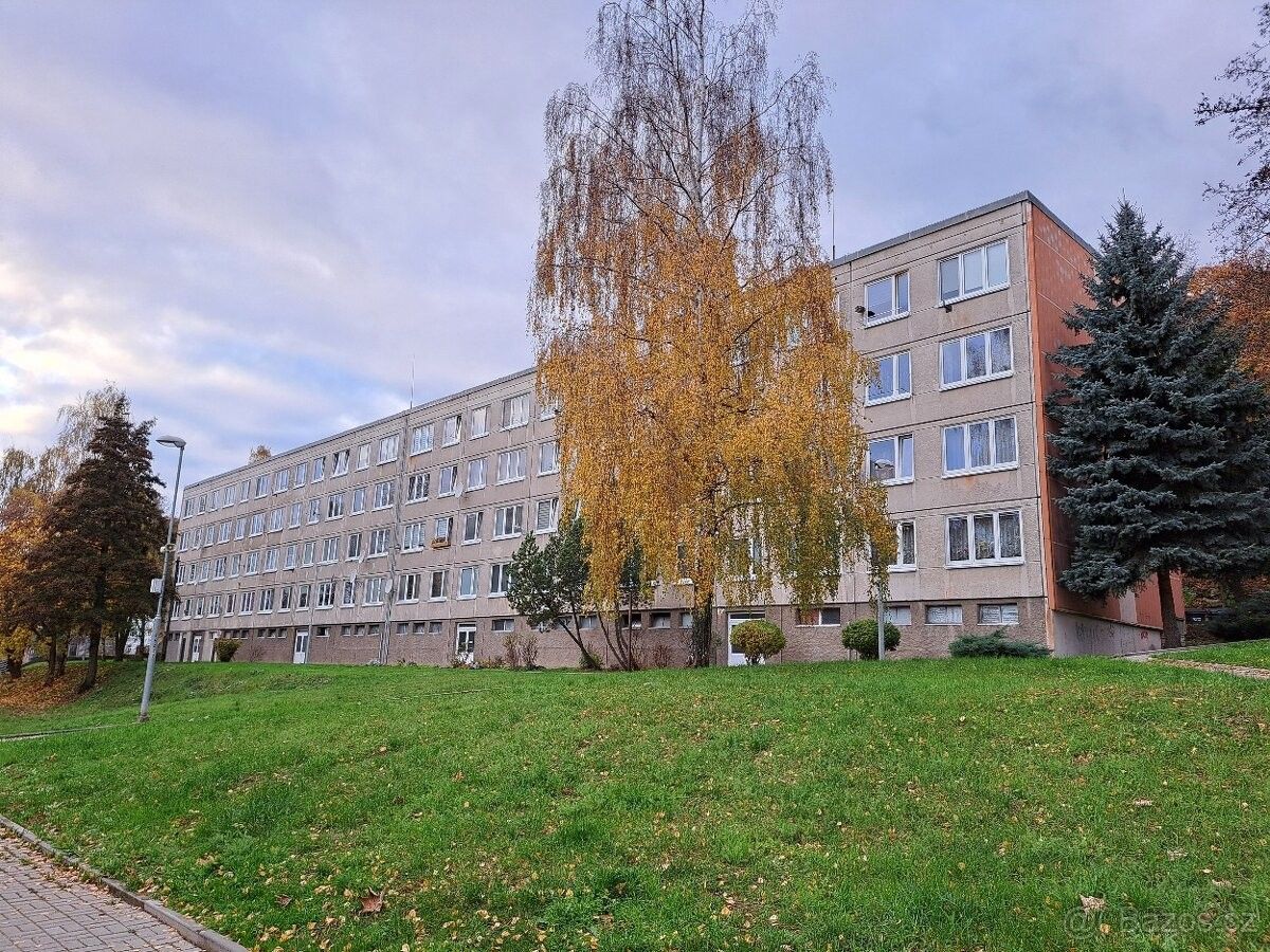 Pronájem byt 1+kk - Litvínov, 435 42, 36 m²