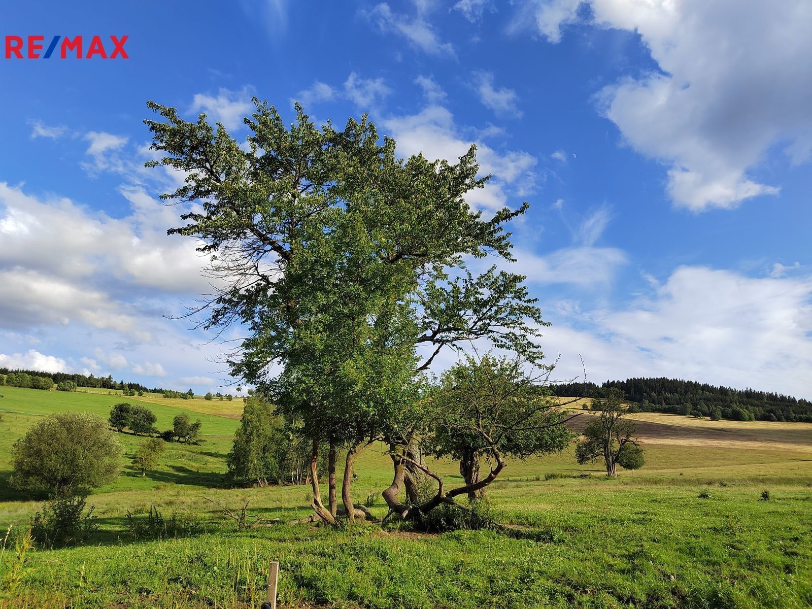 Prodej pozemek pro bydlení - Malá Morava, 1 039 m²