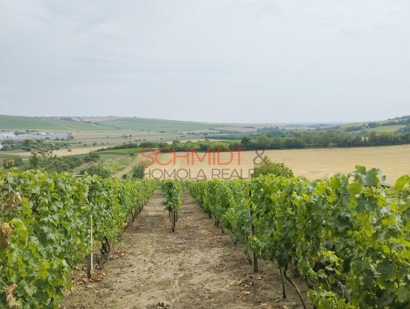 Pozemky pro bydlení, Kobylí na Moravě, 691 10