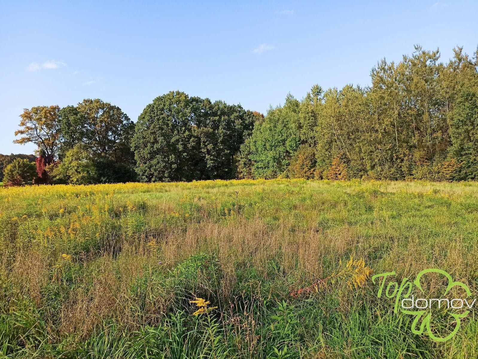 Pozemky pro bydlení, Hranice, Karviná, 846 m²