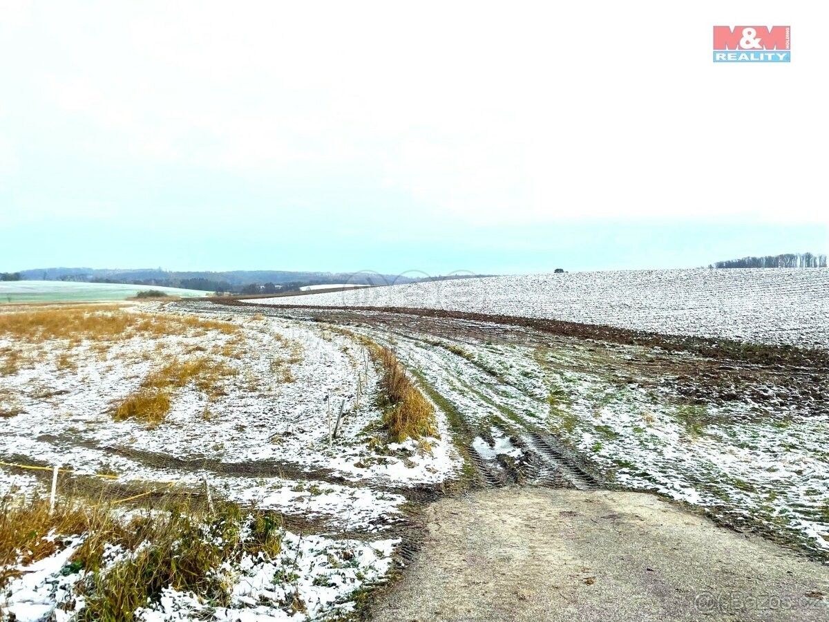 Zemědělské pozemky, Třebechovice pod Orebem, 503 46, 964 m²