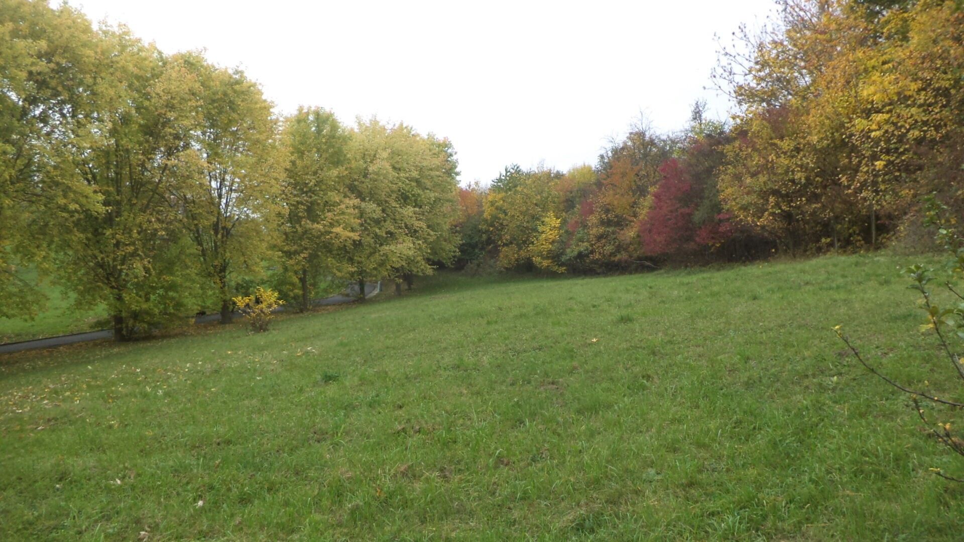 Prodej pozemek - Mojžíř, Ústí nad Labem, 2 m²