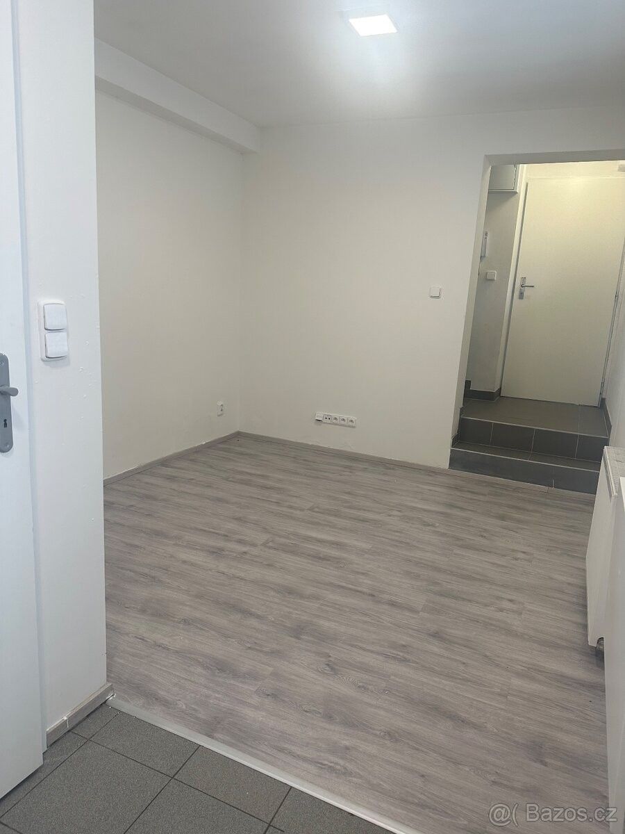 1+kk, Brno, 615 00, 21 m²