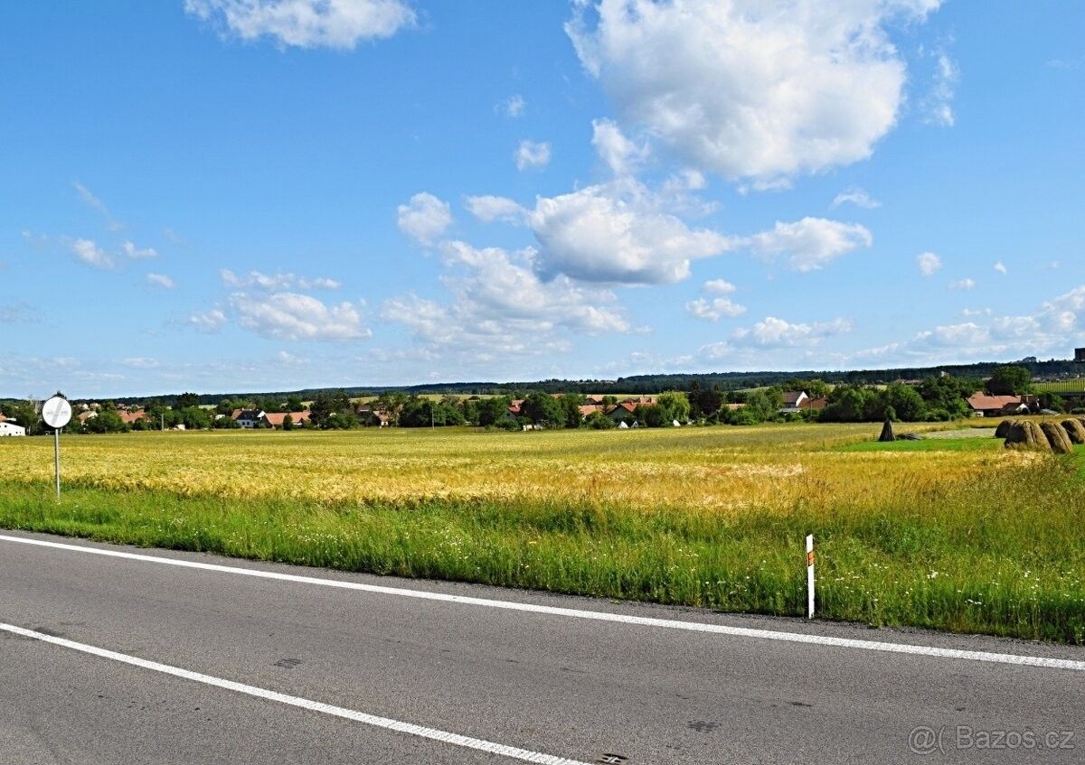 Ostatní, Holice v Čechách, 534 01, 8 945 m²