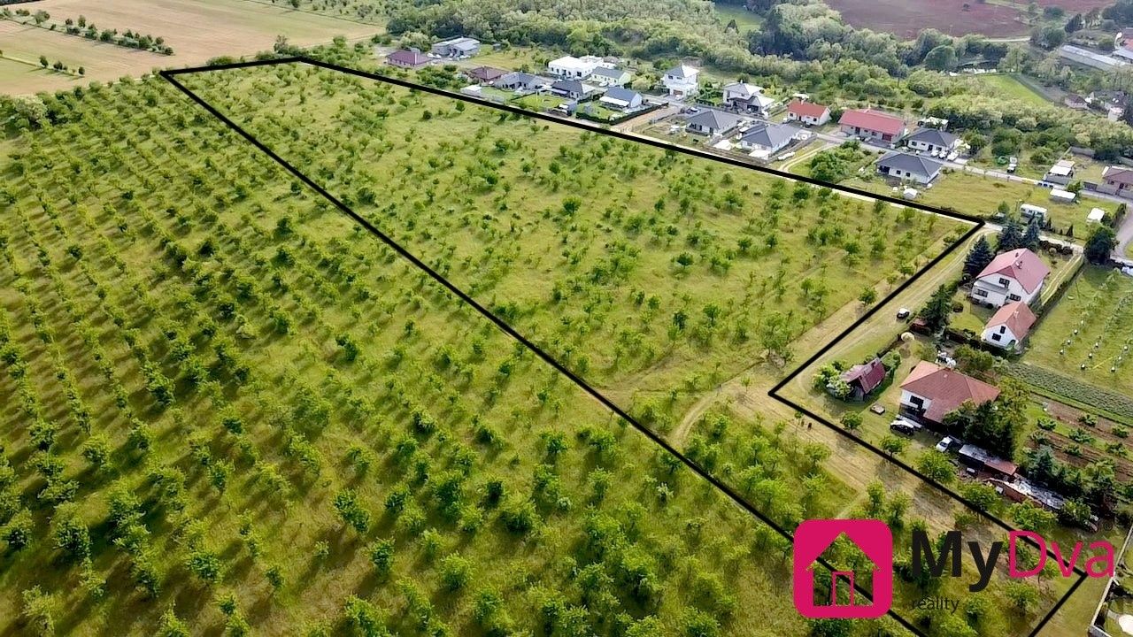 Ostatní, Mikulovice, 60 000 m²