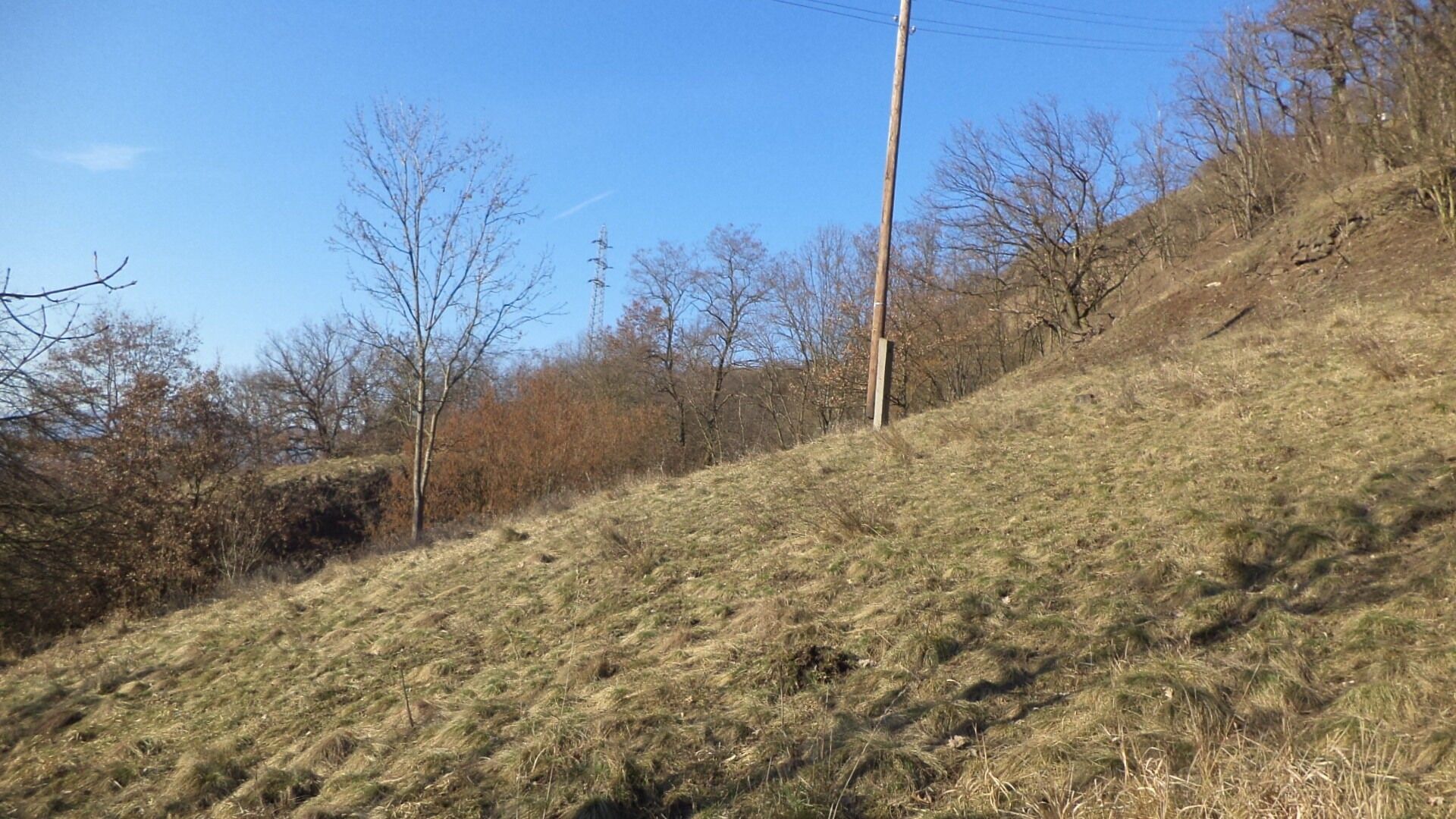 Prodej zahrada - Trmice, 3 m²