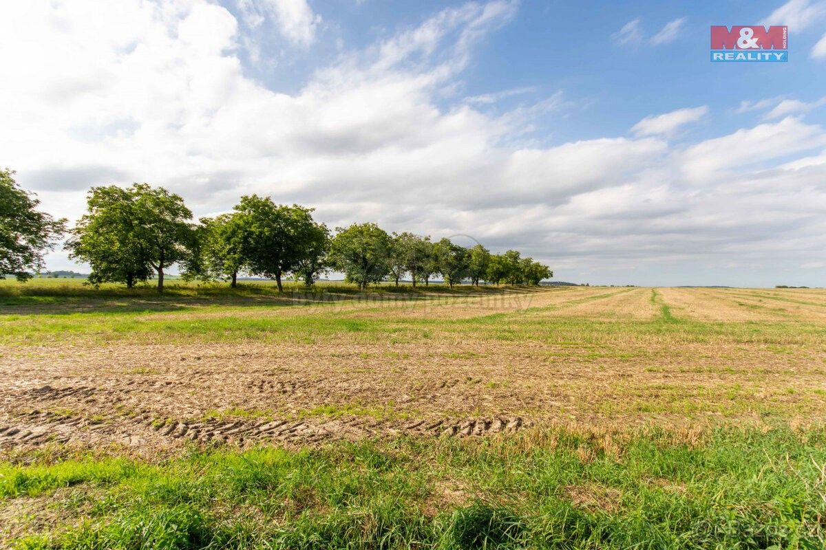 Prodej pozemek pro bydlení - Brumovice u Opavy, 747 71, 4 852 m²