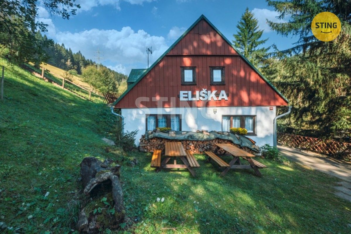 Restaurace, Pec pod Sněžkou, 542 21, 145 m²