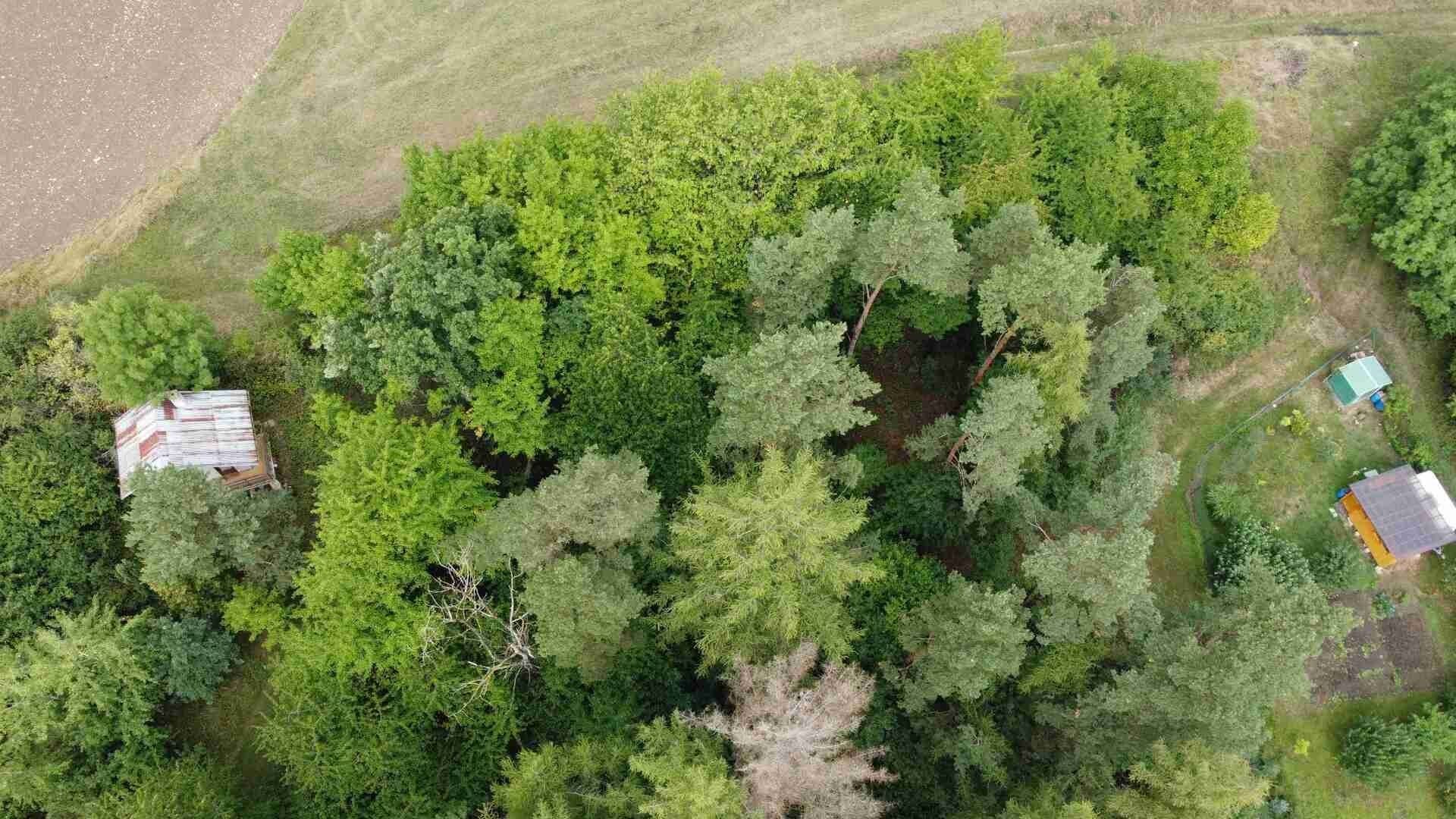 Prodej pozemek - Skuteč, 864 m²