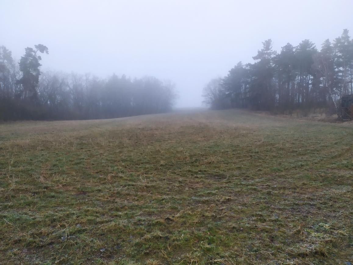 Prodej zemědělský pozemek - Kněževes u Rakovníka, 270 01, 11 520 m²