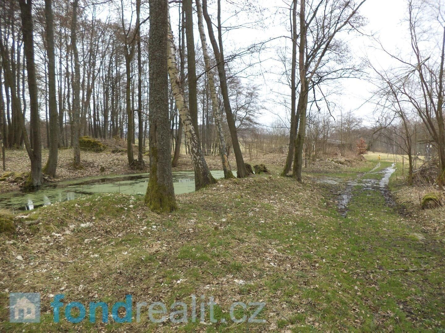 Pozemky pro bydlení, Dolní Nivy, 1 m²