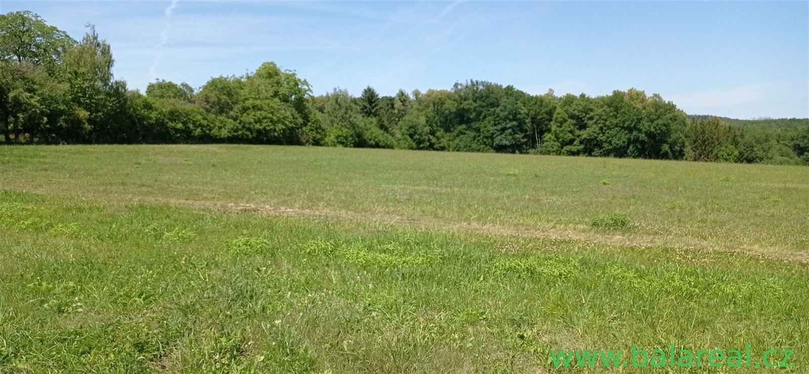 Prodej zemědělský pozemek - Kobylnice