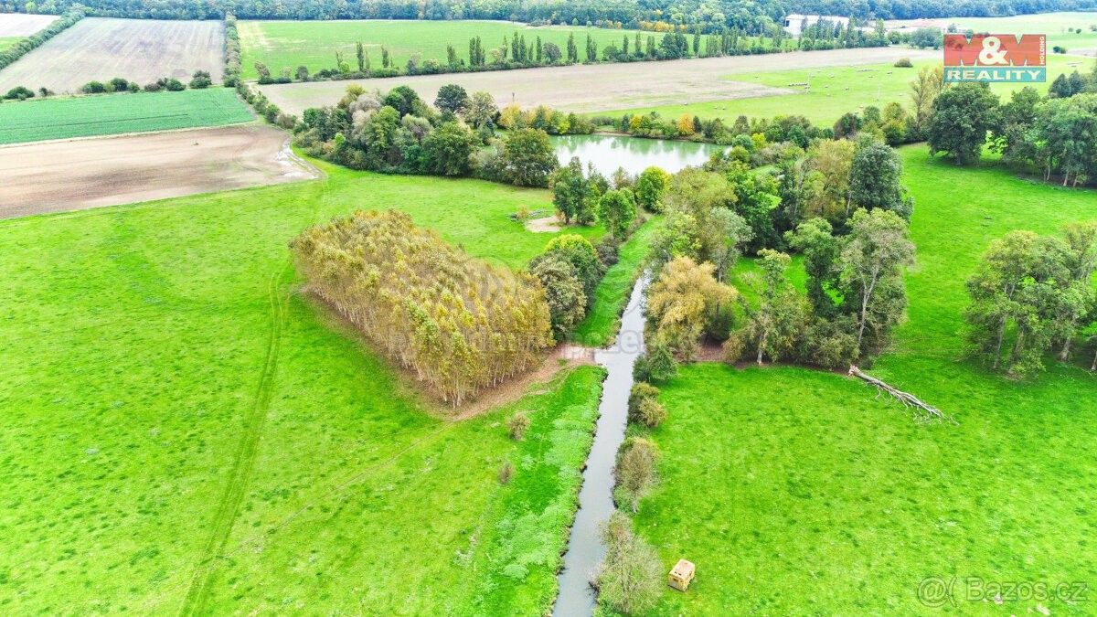 Zemědělské pozemky, Skřivany u Nového Bydžova, 503 52, 1 461 m²