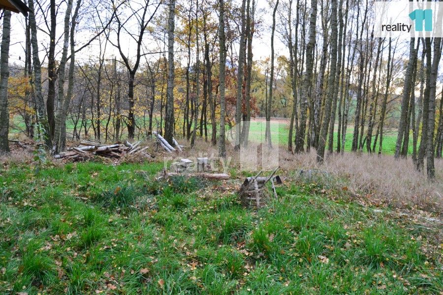 Prodej pozemek - Stráž pod Ralskem, 11 599 m²