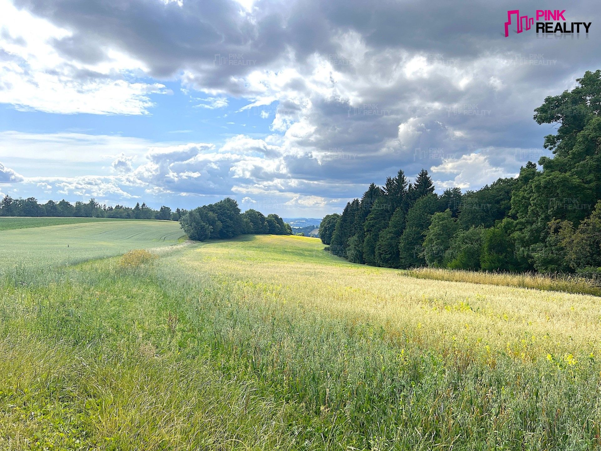 Zemědělské pozemky, Mrklov, Benecko, 26 825 m²