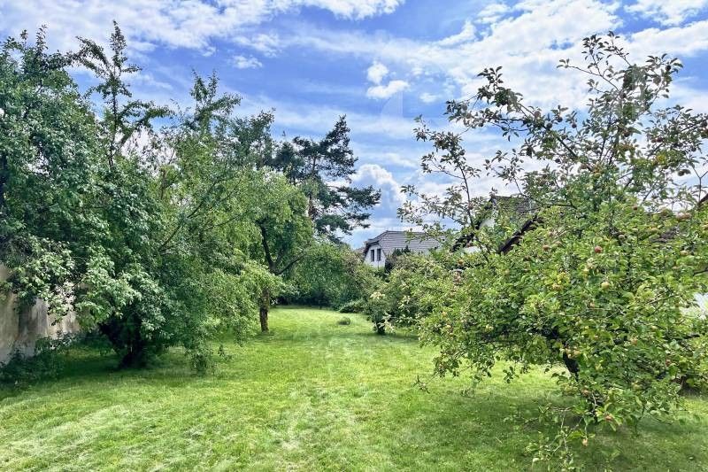 Zahrady, Křenovice, Dubné