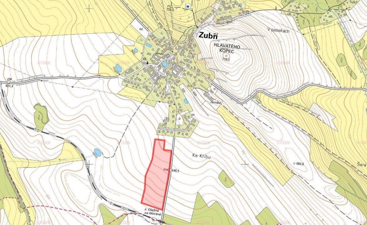 Prodej zemědělský pozemek - Nové Město na Moravě, 592 31