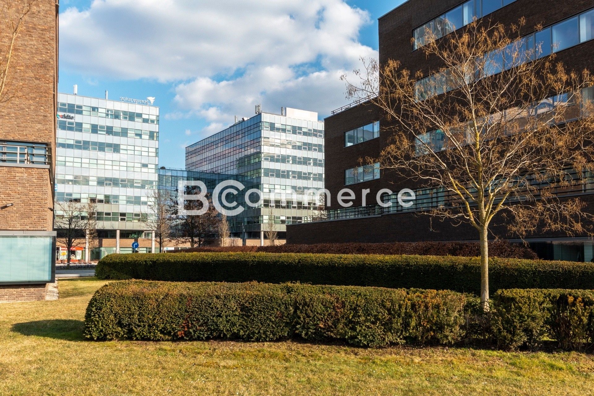 Pronájem kancelář - Štýřice, Brno, 500 m²