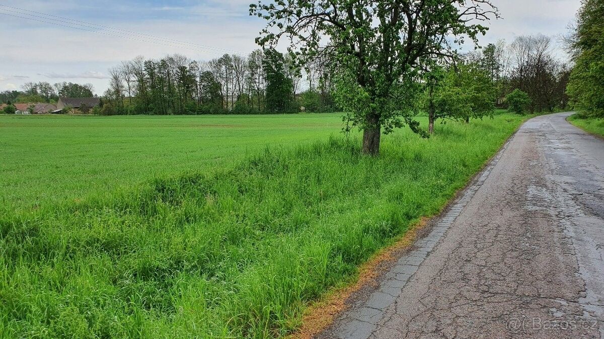 Prodej pozemek - Heřmanův Městec, 538 03, 6 753 m²