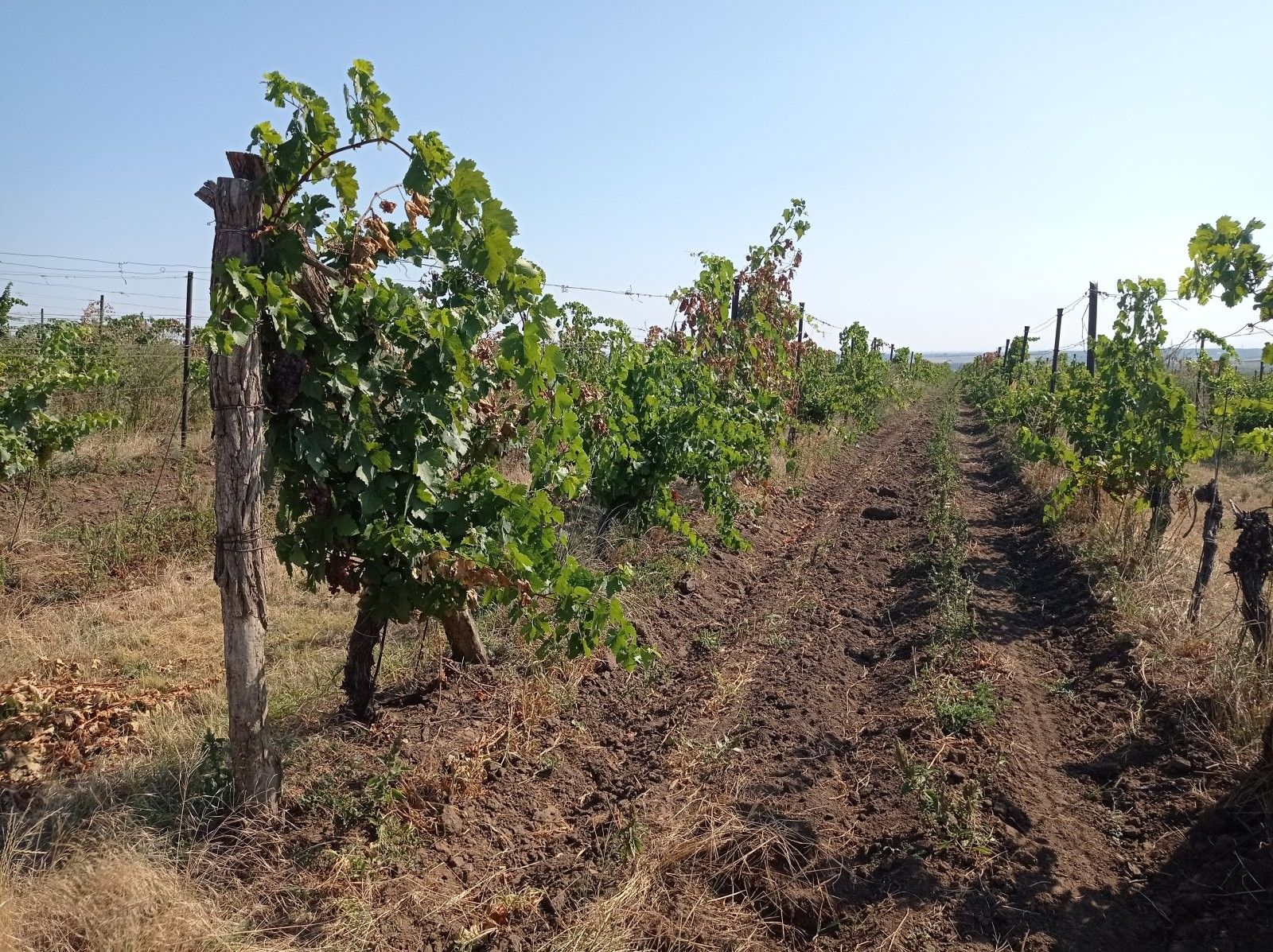 Ostatní, Úvaly, Valtice, 7 m²