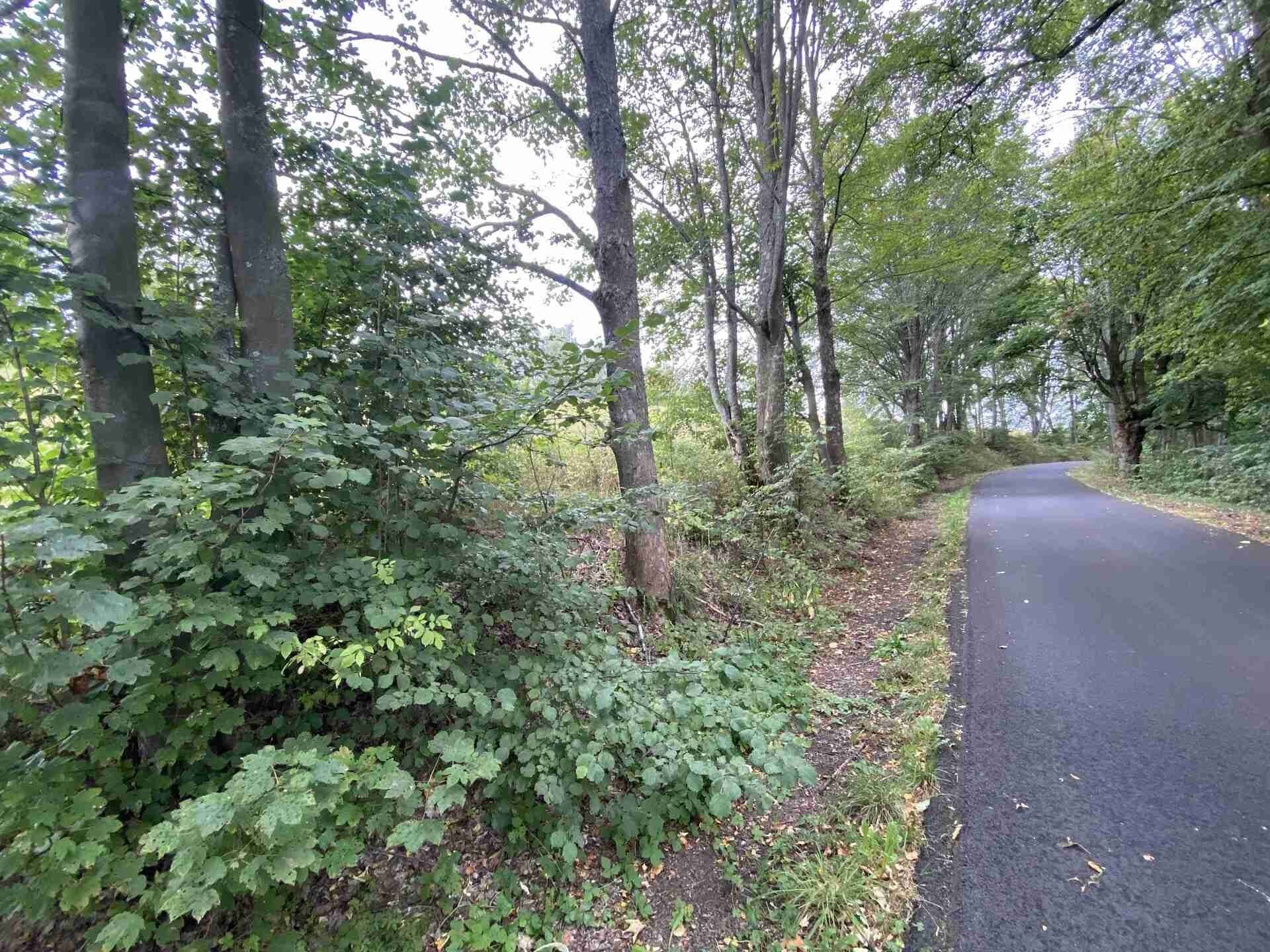 Prodej zemědělský pozemek - Dolní Nivy, 1 m²