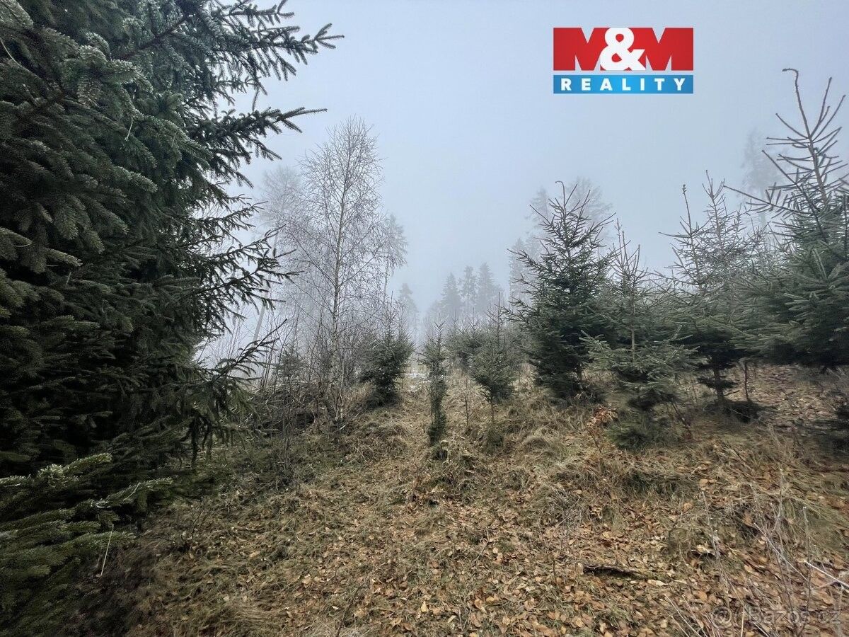 Prodej pozemek pro bydlení - Nová Paka, 509 01