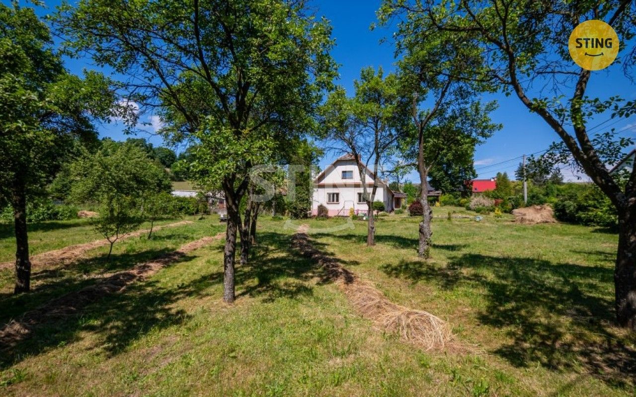 Rodinné domy, Staré Těchanovice, 300 m²