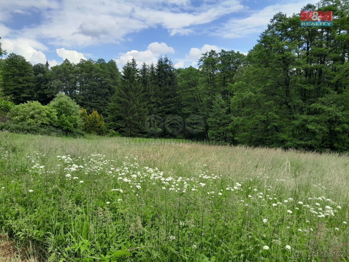 Zemědělské pozemky, Nepomuk, 335 01, 19 732 m²