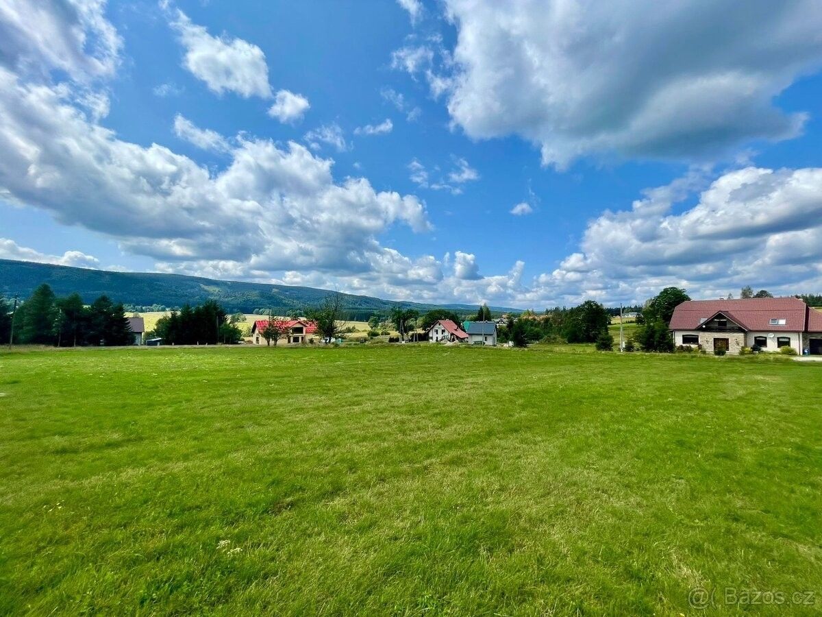 Prodej pozemek pro bydlení - Orlické Záhoří, 517 64, 3 067 m²