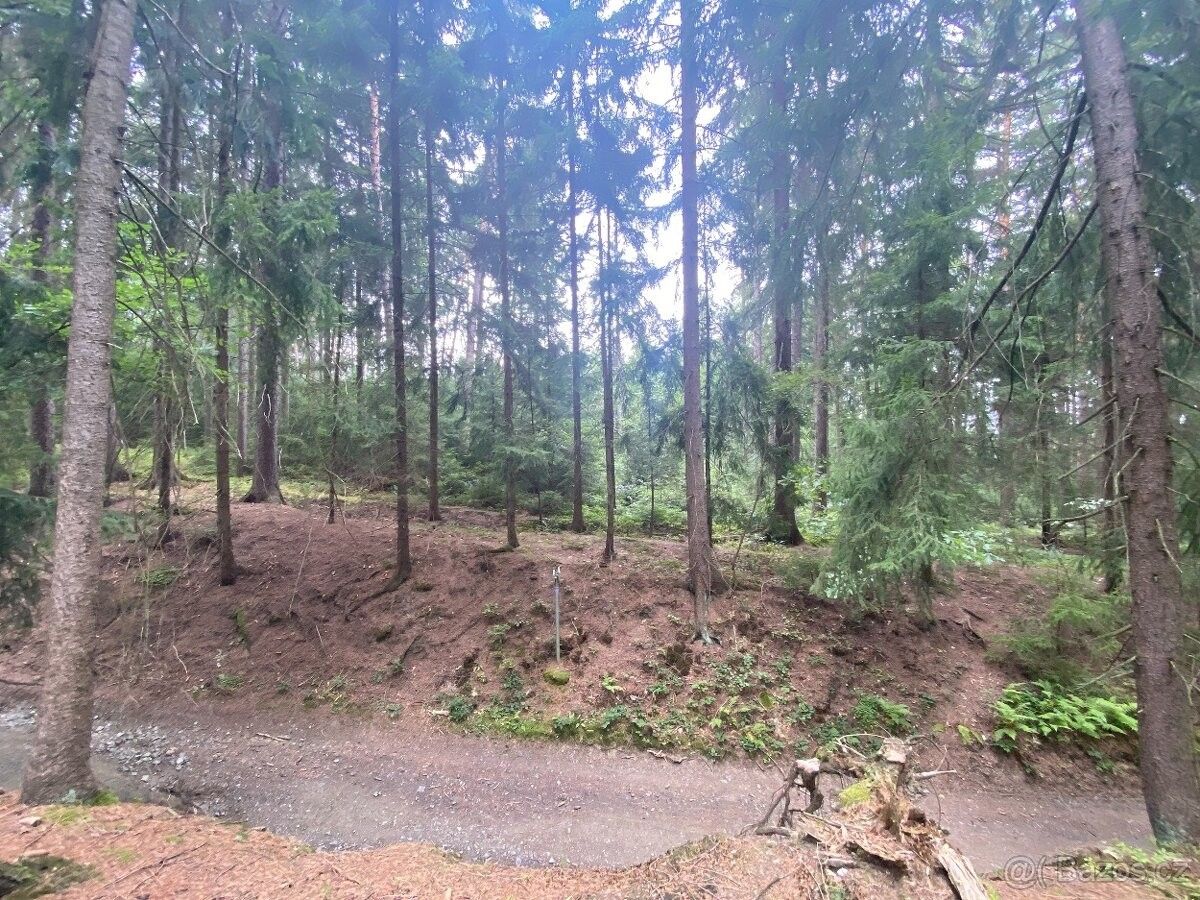 Prodej les - Zábřeh, 789 01, 490 m²