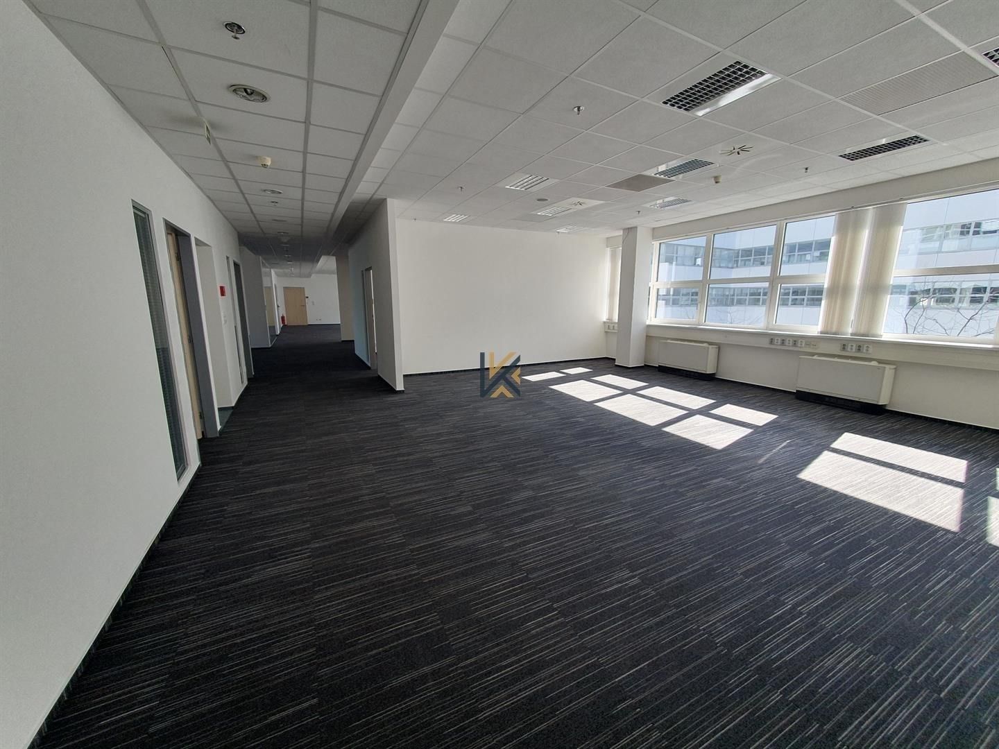 Ostatní, Radlická, Praha, 576 m²