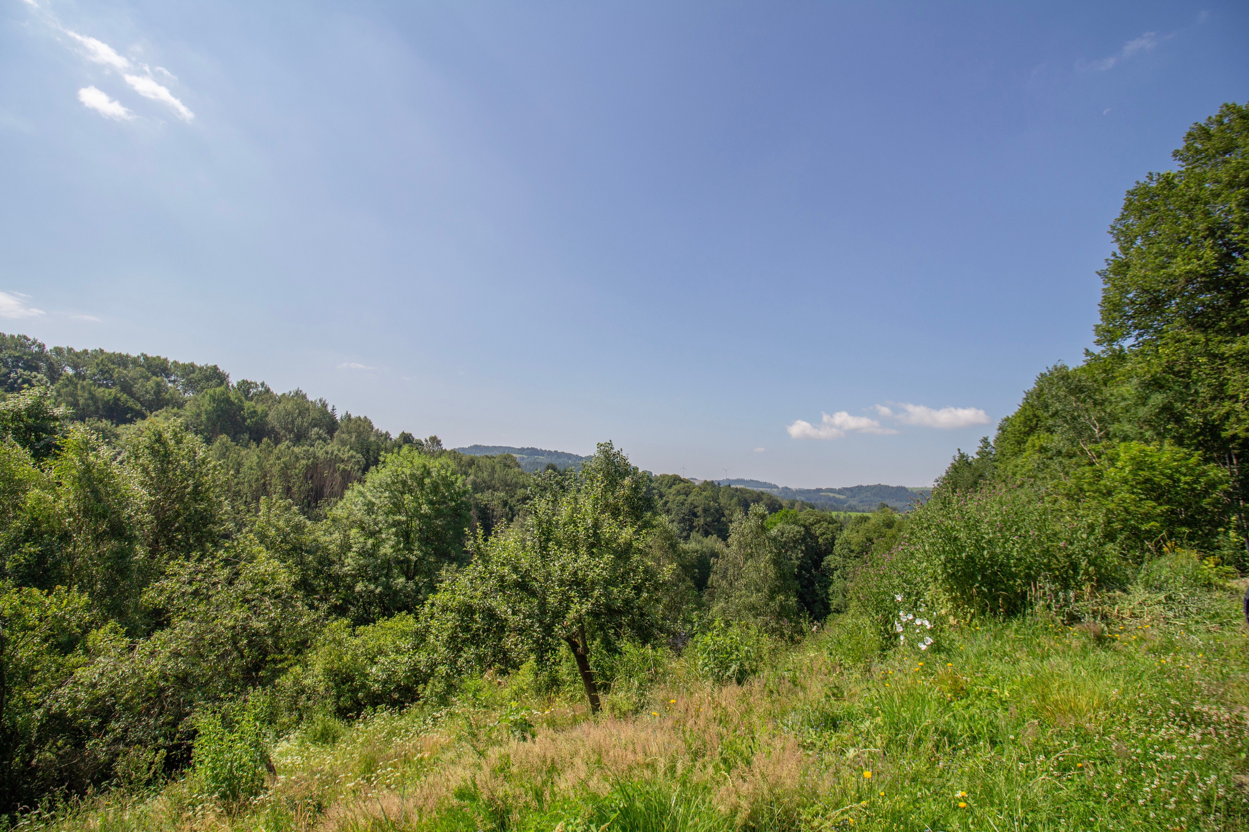 Prodej rodinný dům - Pusté Žibřidovice, Jindřichov, 150 m²