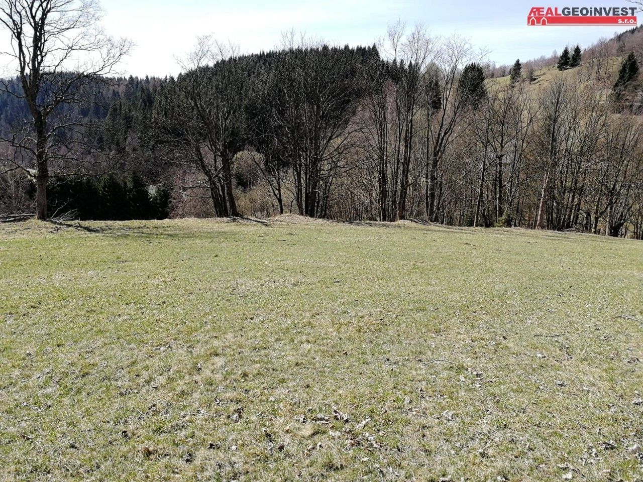 Prodej pozemek - Velké Vrbno, Staré Město, 1 100 m²