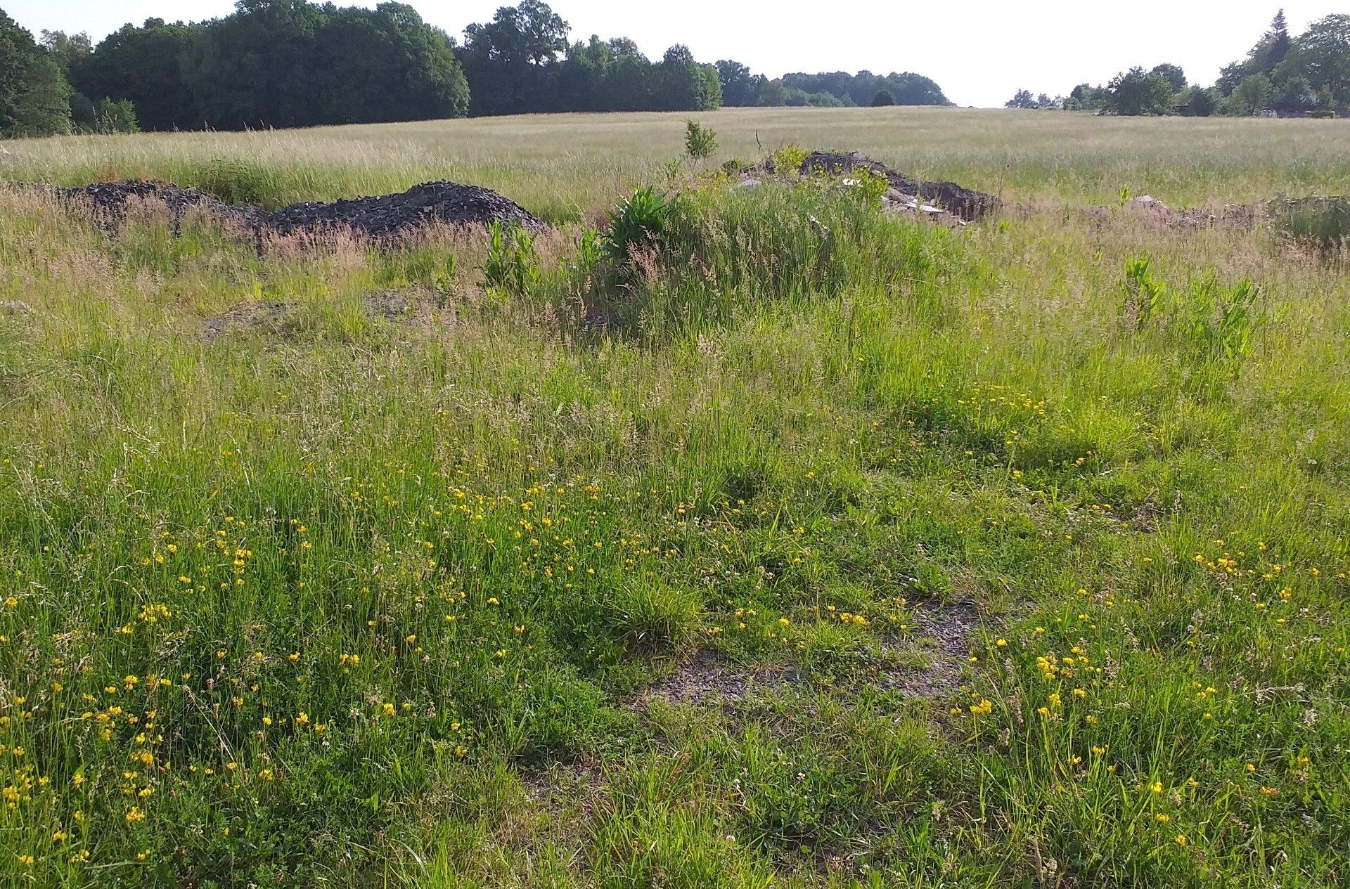 Komerční pozemky, Frýdek, Frýdek-Místek, 9 600 m²