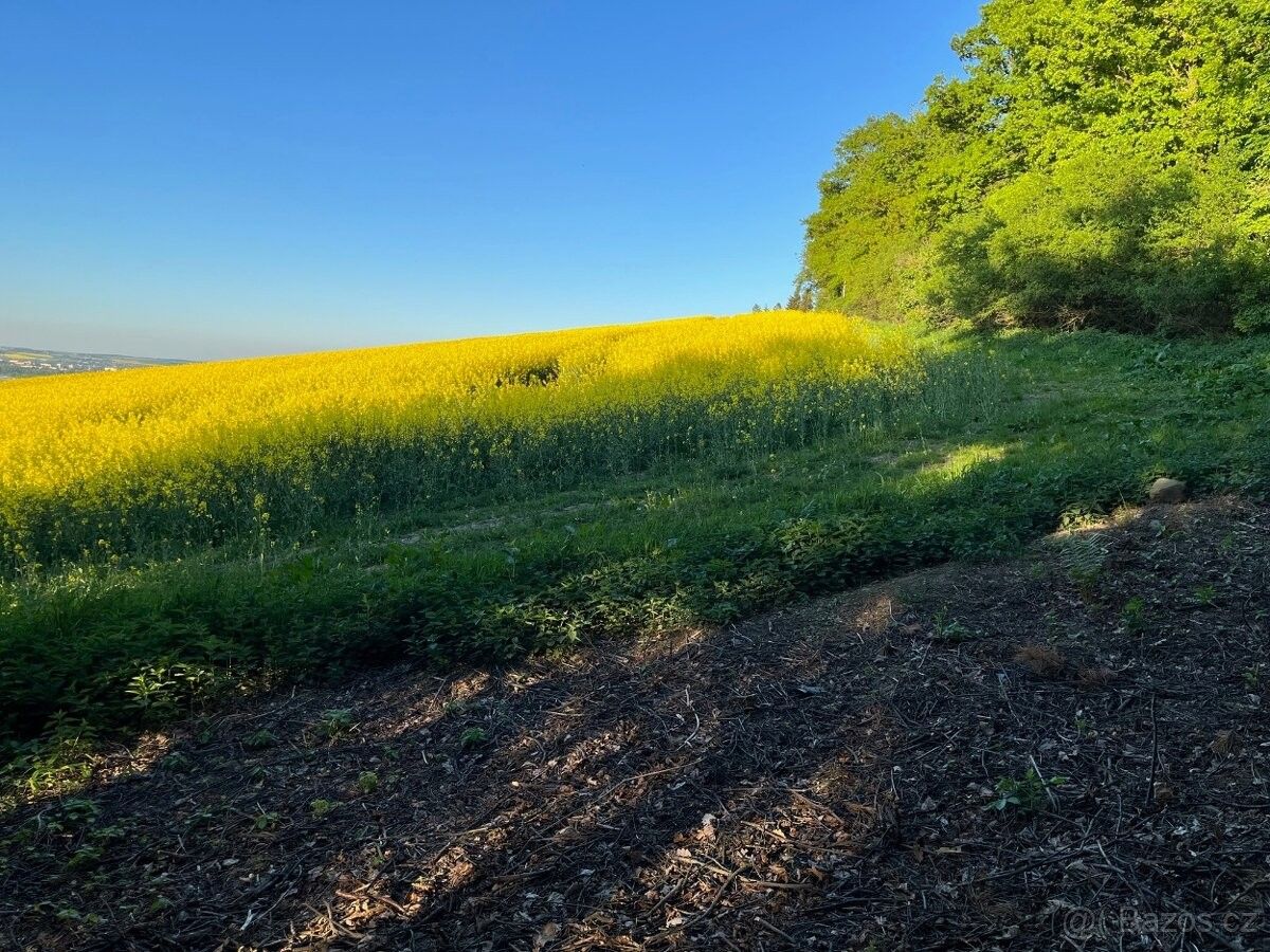 Zemědělské pozemky, Opava, 747 06