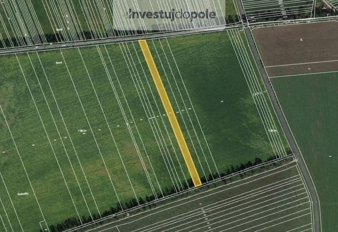 Zemědělské pozemky, Lipov, 4 290 m²