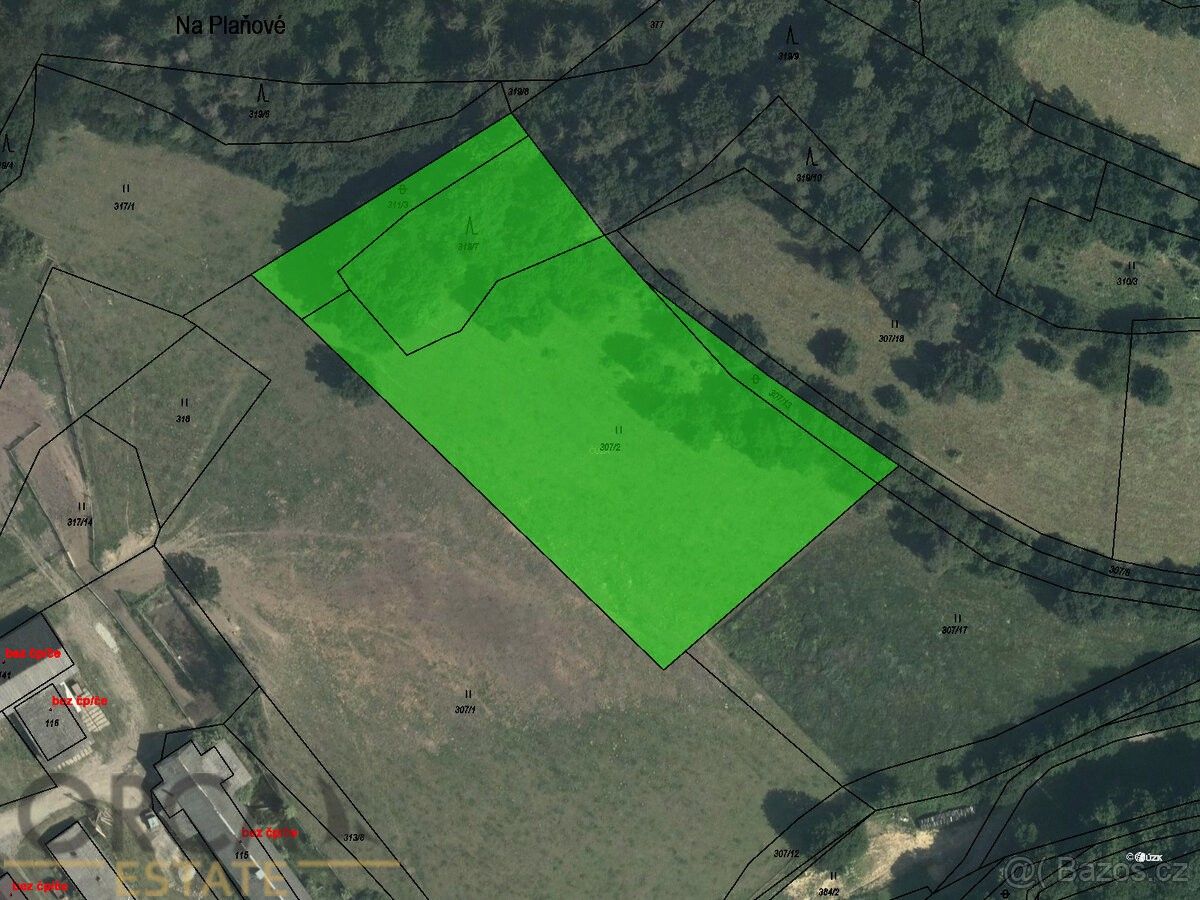 Prodej les - Zábřeh, 789 01, 8 481 m²