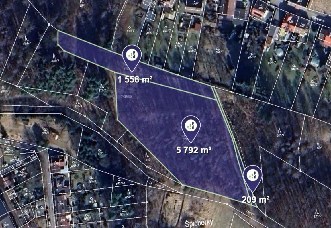 Lesy, Červený Kostelec, 3 779 m²