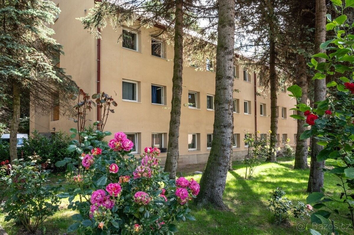 Restaurace, Litvínov, 436 01