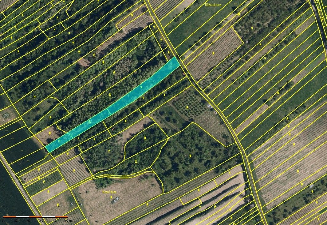 Zemědělské pozemky, Velké Němčice