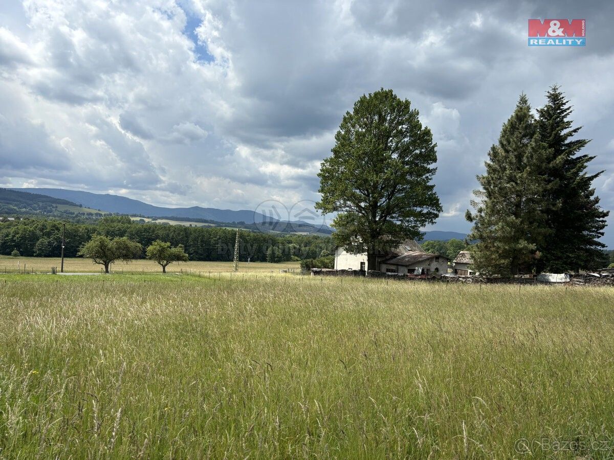 Ostatní, Nové Město pod Smrkem, 463 65, 1 017 m²