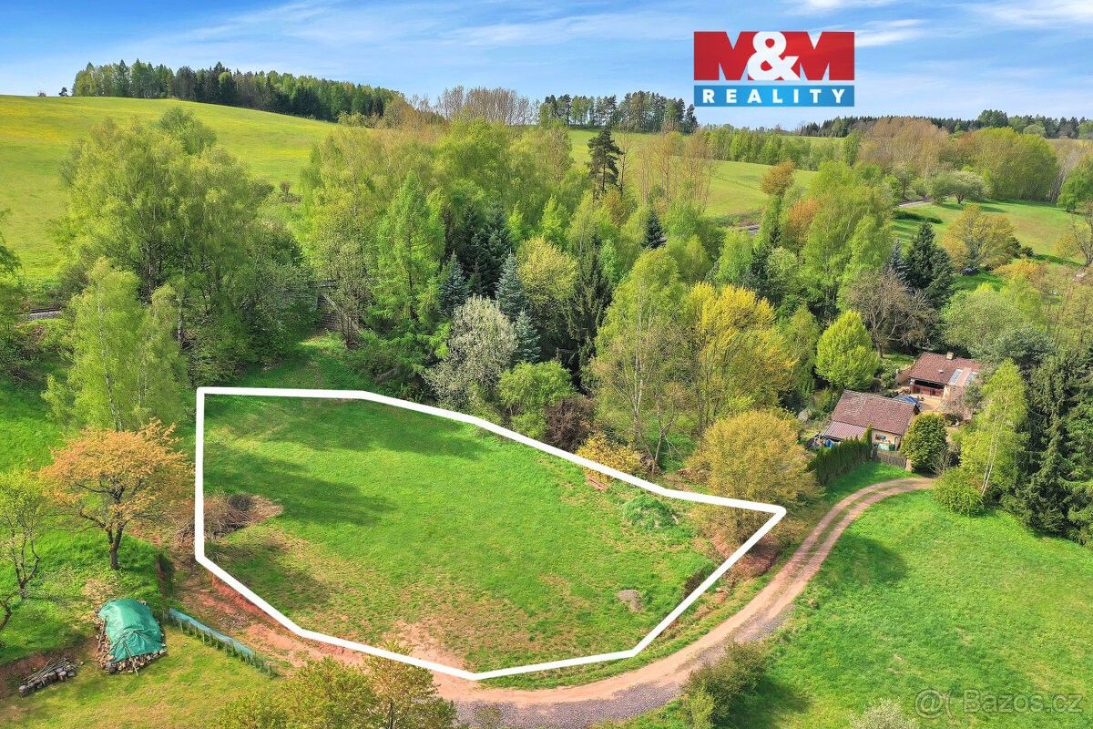 Prodej pozemek pro bydlení - Borovnička, 544 75