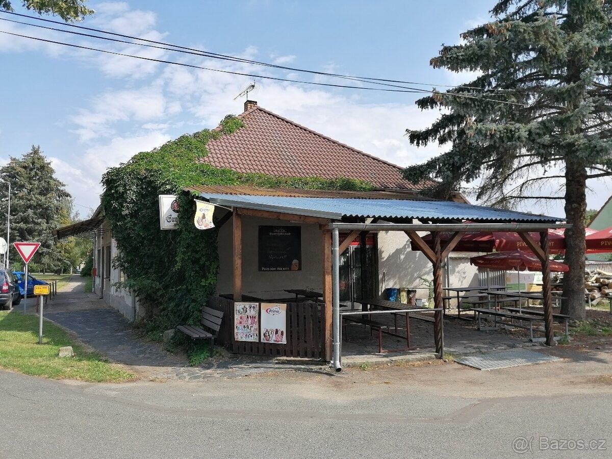 Restaurace, Libice nad Cidlinou, 289 07