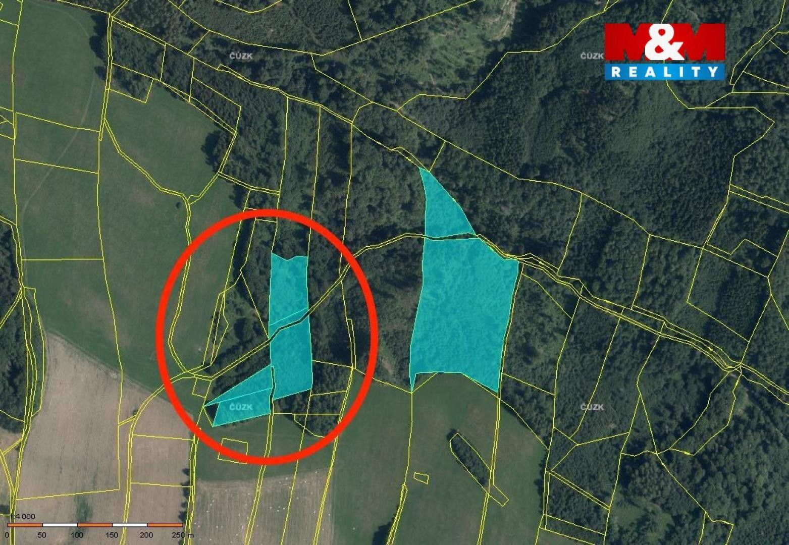 Prodej les - Horní Studénky