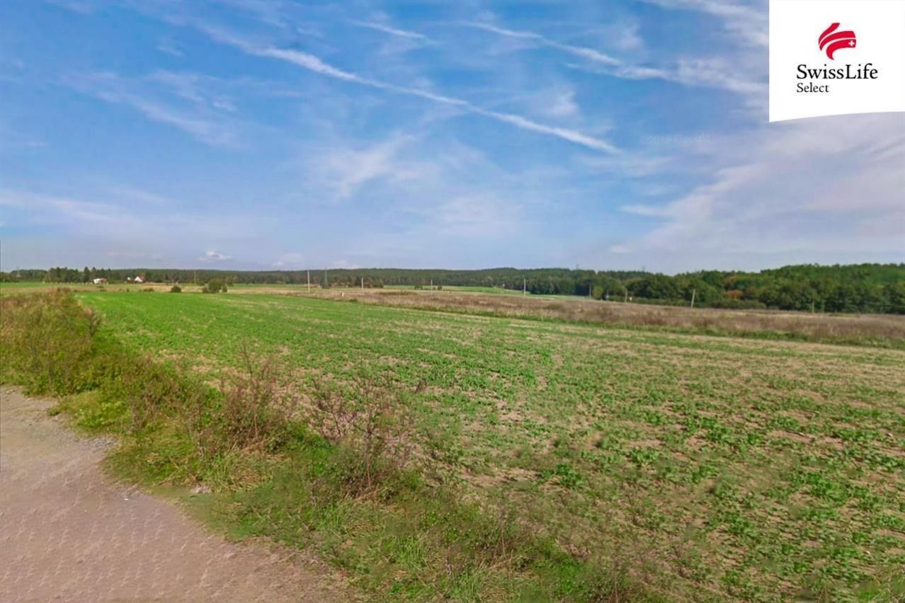 Zemědělské pozemky, Druztová