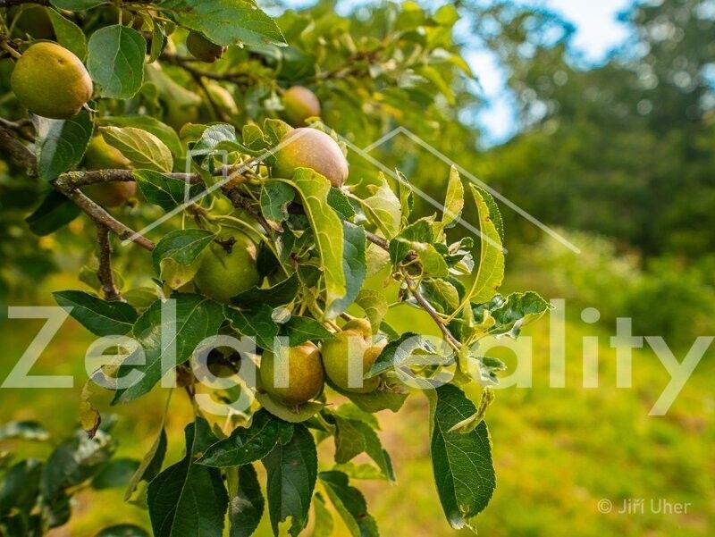 Pozemky pro bydlení, Svatobořice, 696 04
