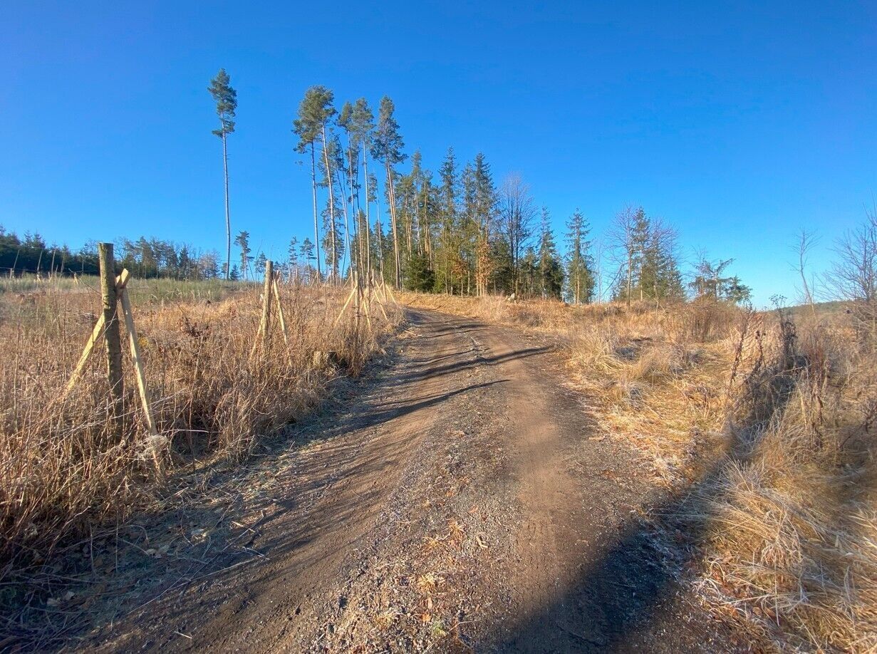 Prodej zemědělský pozemek - Klíčov, Kočov, 3 m²