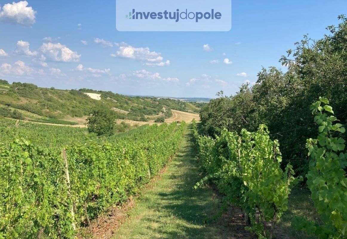 Ostatní, Starovičky, 1 328 m²